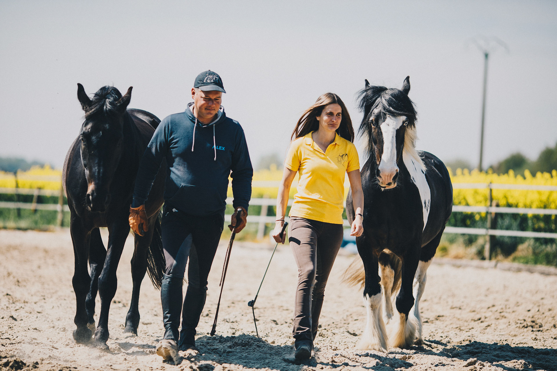 Formation équitation éthologique
