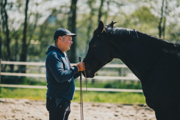 Formation équitation éthologique