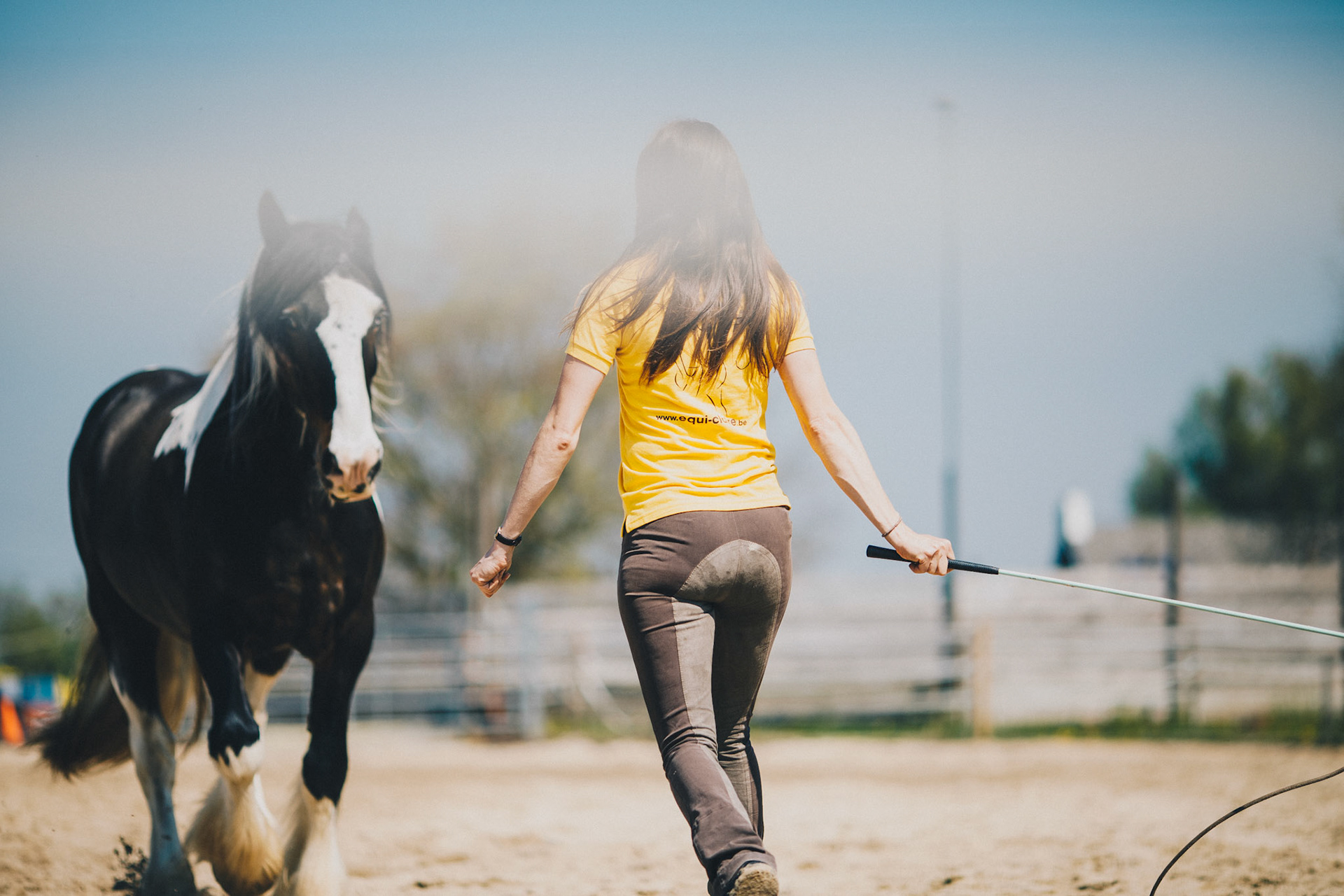 Formation équitation éthologique