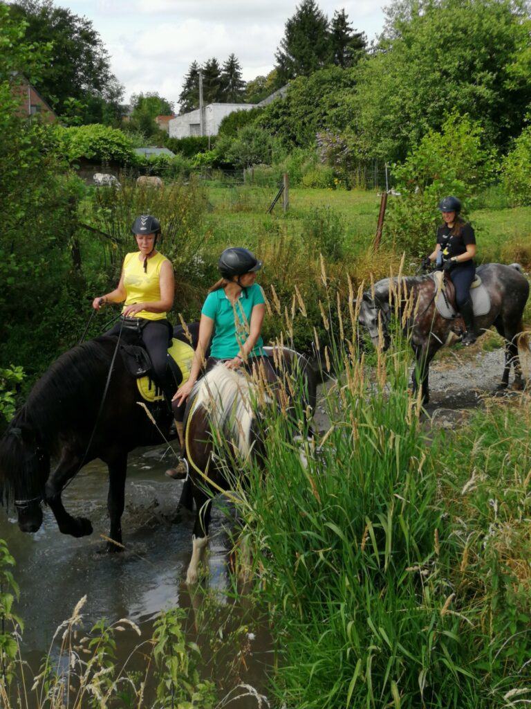 chevaux et stagiaire en promenade dans un ruisseau