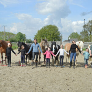 Claire Stevenaert - Stage à la découverte du cheval autrement