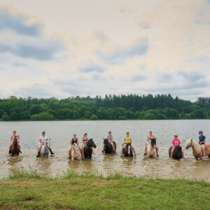 Formations Equestres