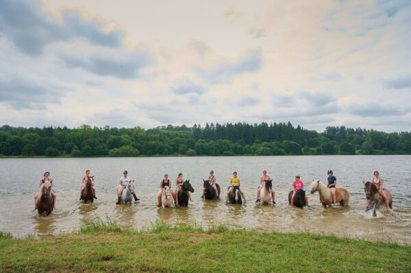 Formations Equestres