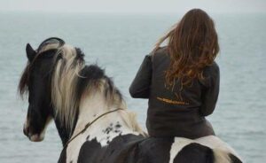 Equitation éthologique