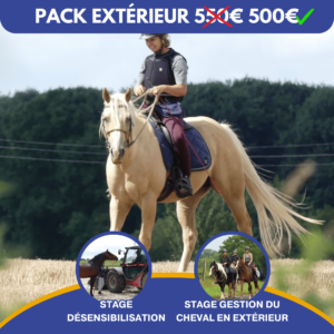 Cheval et cavalière en extérieur