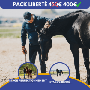 Alexandre Declercq et son cheval Aragorn