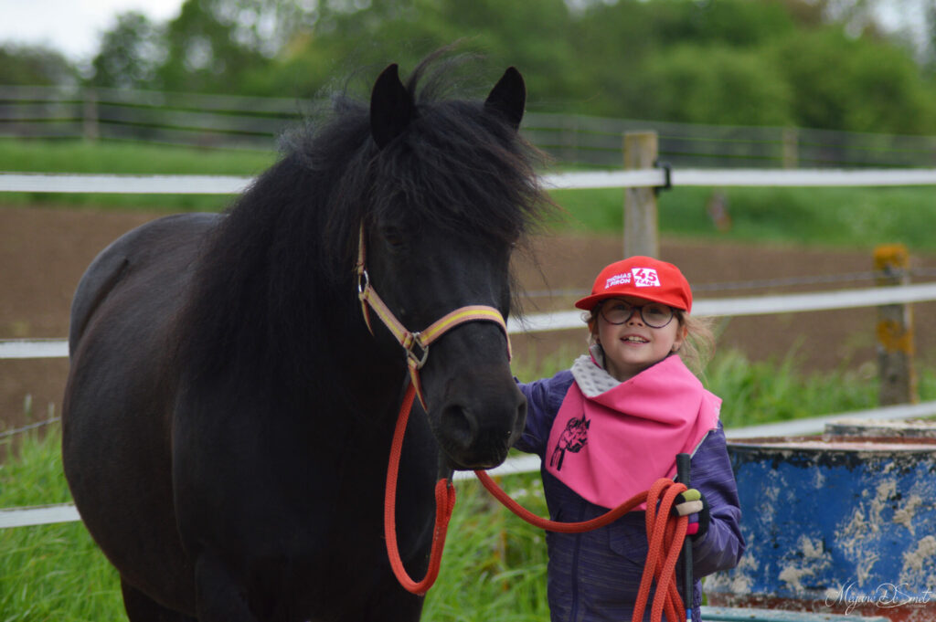 Stage enfants " A la découverte du cheval autrement "