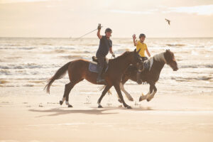 Stage étho rando au Touquet Equitation éthologique