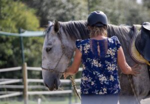 Formations Equestres