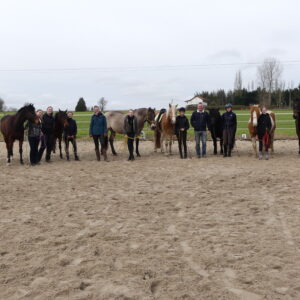 Stage ados février 2025équitation éthologique