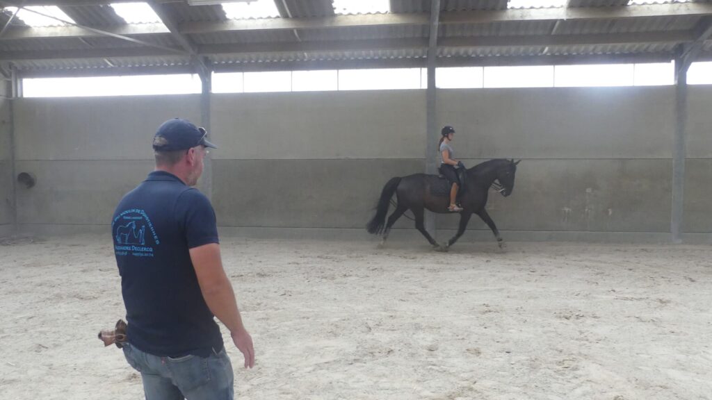 cours de dressage - équitation éthologique 